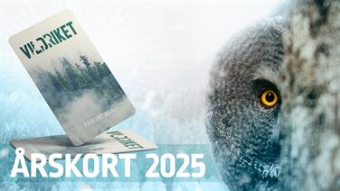 Bild för: Årskort 