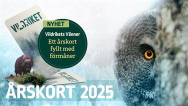 Bild för: Vildrikets Vänner