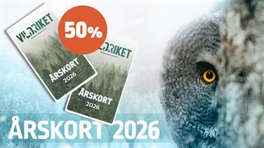 Image for: Årskort 