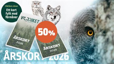 Image for: Vildrikets Vänner