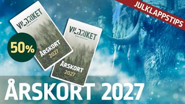 Bild för: Årskort som julklapp